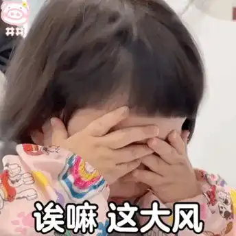  插手手表情包