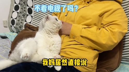  家人们,你们敢信吗,我妈为了七七居然买了一套房,我还是不是亲身的了