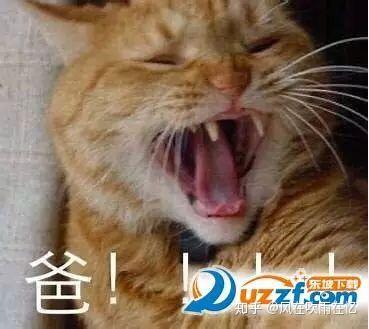  如何委婉的跟父母要生活费