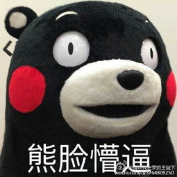  熊本熊表情包微信