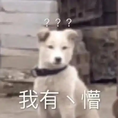  萌宠表情包没有人找我丸