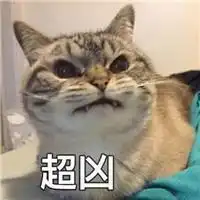买回一双拖鞋,家里的橘猫却吃起醋来,这表情免不了1万字检讨了 买回一双拖鞋,家里的橘猫却吃起醋来,这表情免不了1万字检讨了