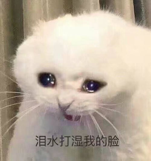  无图也慎点关乎屎尿屁吃了饭很快就拉怎么办,泪目