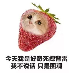  为什么我们都爱produce48