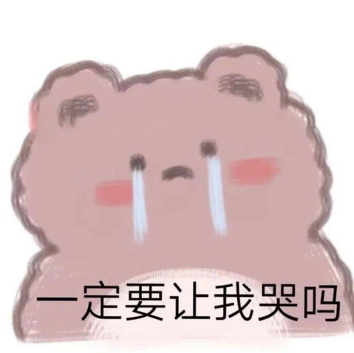  表情包这么巧你也在网上冲浪啊