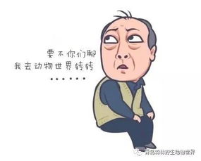 苏大强表情包生成器苏明