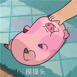  粉色小猪猪的凝视表情包见过那么多猪还是你最可爱