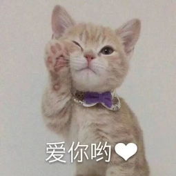 没考驾照的恭喜6月1日起大变广东人速看