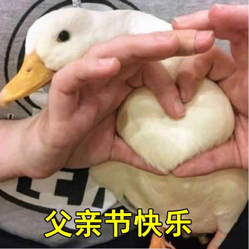  幽默段子笑话邻居有一熊孩子老爱用小石子在别人家车上乱刻
