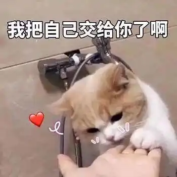 生活不易猫猫叹气可爱的猫咪表情包 生活不易猫猫叹气可爱的猫咪表情包