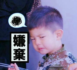 心疼沙溢上跑男被惨虐,被水暴击成表情包引热议节目组欺负人