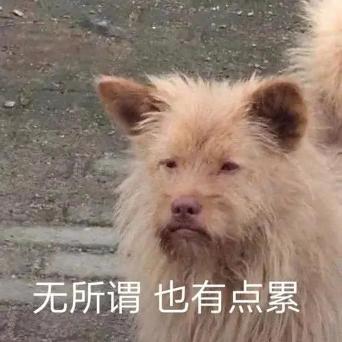  微信史上最骚更新能免费定制铃声了