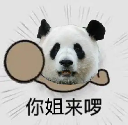 熊猫一家来喽表情包 熊猫一家来喽表情包