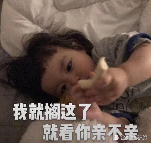  表情超萌态撩汉子表情包只要哥哥长得好,一句在吗,我就倒表情