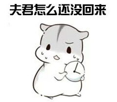  粉红鼠qq表情包