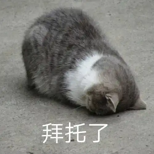 我的收藏 我的收藏