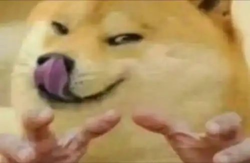 大学英语六级真题在线网站 大学英语六级真题在线网站