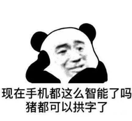  熊猫头表情包i你走了我就当你死了