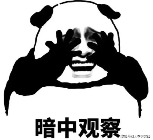  开心一刻笑话表嫂坐月子,表哥买了两只母鸡