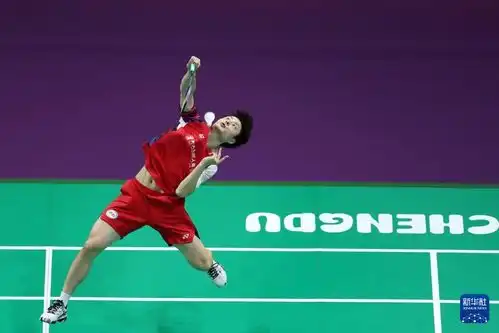  汤姆斯杯羽毛球赛a组中国队胜韩国队