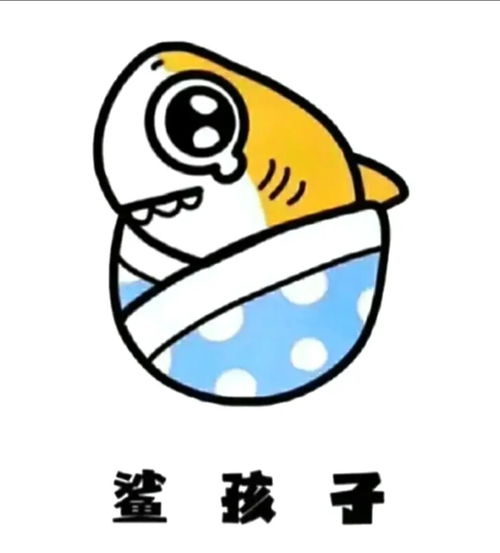  表情包十六丨鲨鱼小可爱