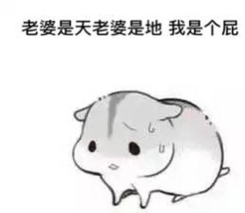  仓鼠表情包老婆说的都对