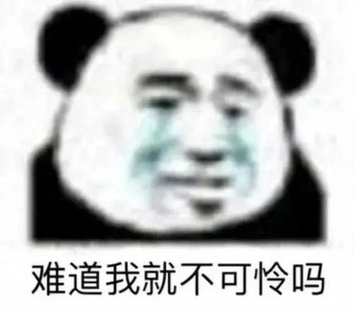 不懂就问的表情包表情