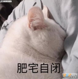  你再提我单身的事我就掐死你图片我们在一起不好吗要什么女人表情包下载乐游网游戏下载
