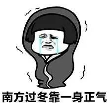  南方过冬考一身正气表情包下载南方过冬考一身正气表情包高清无水印极光下载站