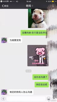  你永远不知道爸妈的表情包有多少