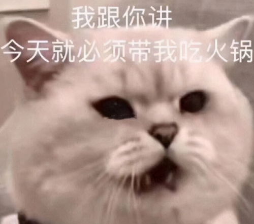 30条搞怪吃货朋友圈文案月亮掉海里,今晚海底捞
