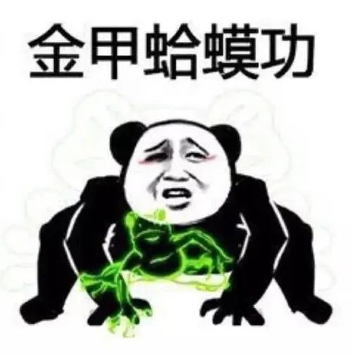  熊猫头金馆长功夫斗图表情包大全