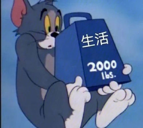  表情包猫和老鼠的表情,给我钱