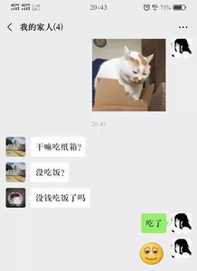  giao哥成了我新男友爸妈对表情包的理解让人崩溃哈哈哈