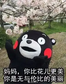 母亲节微信最新表情包 母亲节微信最新表情包