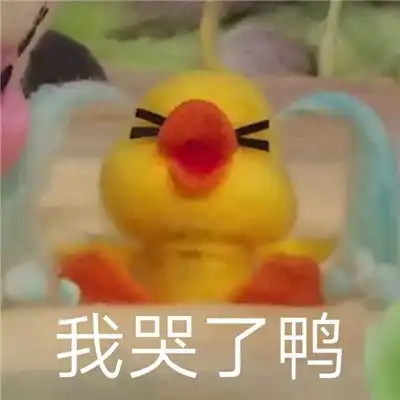 黄鸭表情包今天做自己 黄鸭表情包今天做自己