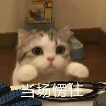 最新斗图表情包,赶快抱走 最新斗图表情包,赶快抱走