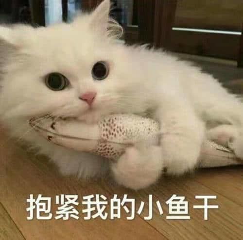 在干嘛表情包搞笑凡士林
