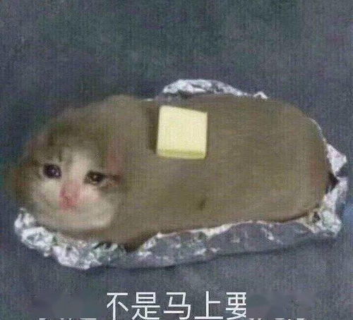  下班之后,只有钻进这个app里才觉得呼吸畅快了