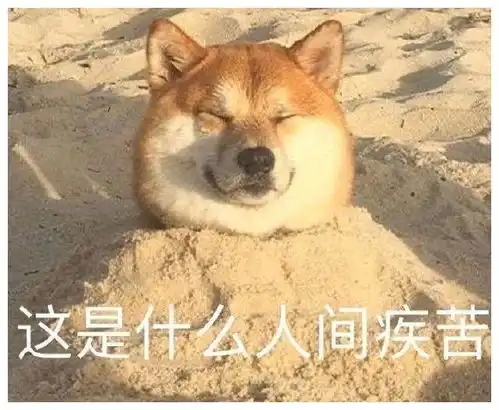 搞笑gif这是什么人间疾苦 搞笑gif这是什么人间疾苦