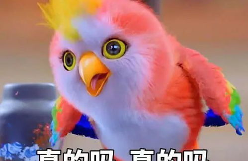  15只影视剧的萌宠,前五个都幻化成人,最后一个仙气缭绕
