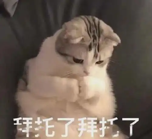 怪奇物语4首曝预告英雄联盟动画剧集曝预告 怪奇物语4首曝预告英雄联盟动画剧集曝预告