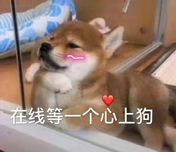  微妙表情包五
