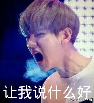  边伯贤表情包