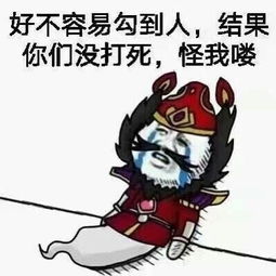  王者荣耀背锅英雄表情包完整版电脑客户端版雷达下载