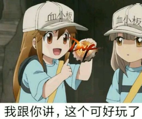  dnf肝神大佬诞生,史诗图鉴不到1个星期就刷满,50个号是关键