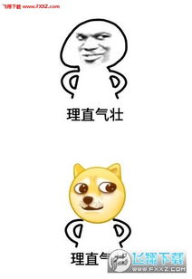  理直气壮表情包知道什么叫理直气壮吗表情包下载飞翔下载