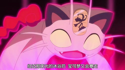  宝可梦旅途43小豪神兽buff爆发极巨化兄贵兔出现了
