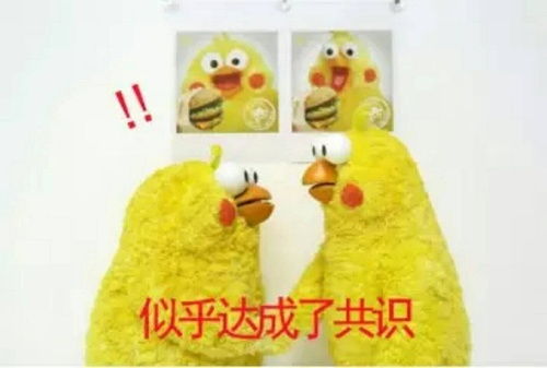  我的收藏