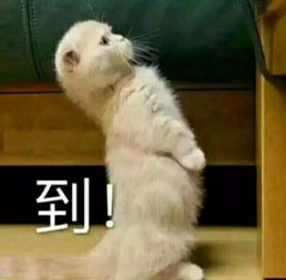 你为什么不愿意在朋友圈发自拍 你为什么不愿意在朋友圈发自拍